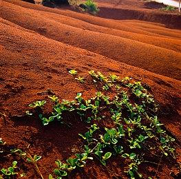 《古墓丽影4-6复刻版》将忠于原作 以玩家为中心